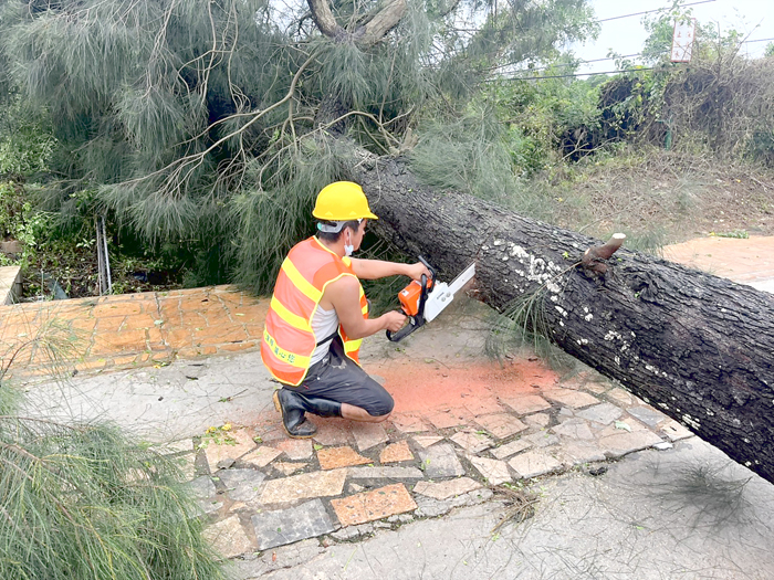 烈嶼災後清理斷樹。（縣府提供）