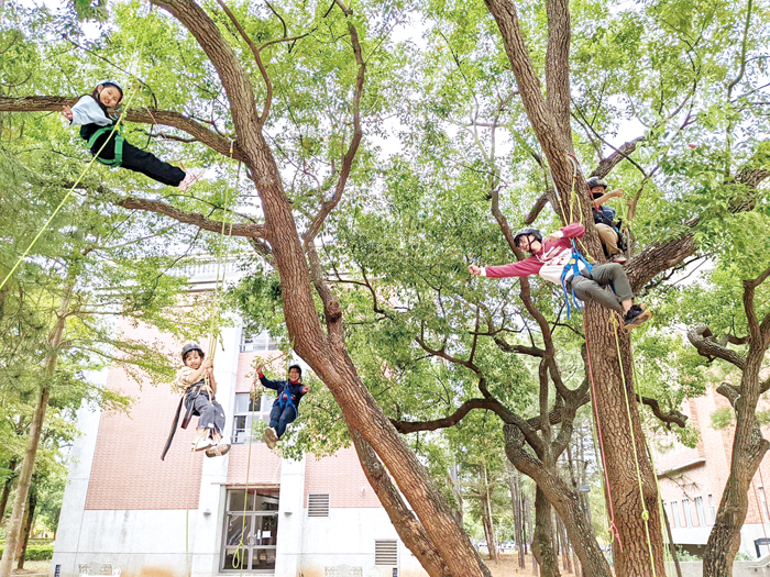 金學敏捷攀樹社結合「上杉夏海本然教育團隊」，將辦四梯次的攀樹體驗。（雨林教練提供）