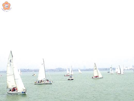 海峽兩岸高校帆船賽計有海內外24支大學隊伍競技。（董燊教授提供）