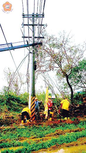 梅姬颱風侵襲金門，造成約4834戶停電，經台電搶修，復電率已達99%以上。（許加泰攝）