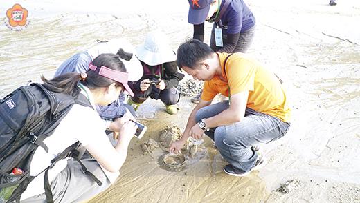 建功嶼踏查,學員們現場了解海灘生物多樣性。(許峻魁攝)