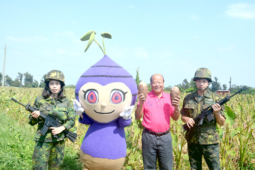 烈嶼鄉長洪成發到芋田宣傳9月29日的芋頭季系列活動，也宣傳后麟步槍模擬射擊館、沙溪堡等熱門景點。（許加泰攝）