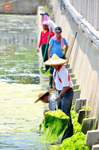 養工所人員昨進行莒光湖滸苔清除工作，還給民眾一個乾淨的水上活動空間。（董森堡攝）