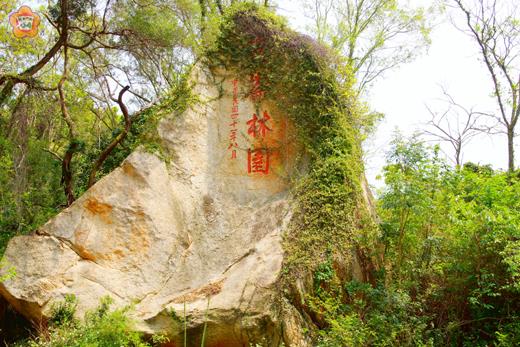   「崑崙林園」石碑，見證了「第五軍」在金門造林的功績。（劉國青提供）