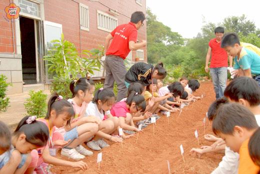 中正國小的同學們昨天至王大夫一條根文化館戶外教學，體驗親手種植一條根。（董森堡攝）
