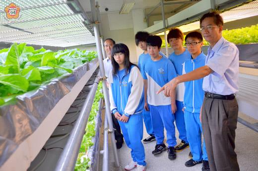金門農工是全國唯一成立「植物工廠」的高職。校長陳水芳(右一)、劉溪丁(左一)、張馨勻(左二)在萵苣採收前做了一番巡禮。(張建騰攝)