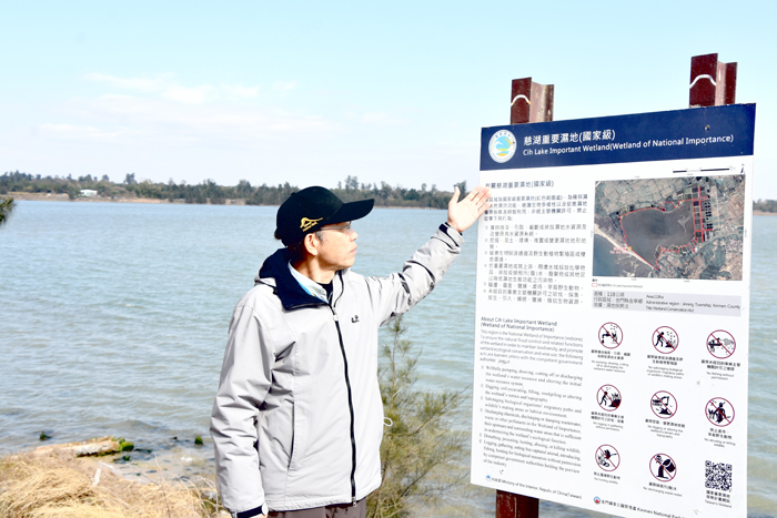 金門慈湖為國家級重要濕地，該區域禁止騷擾野生動物。（詹宗翰攝）