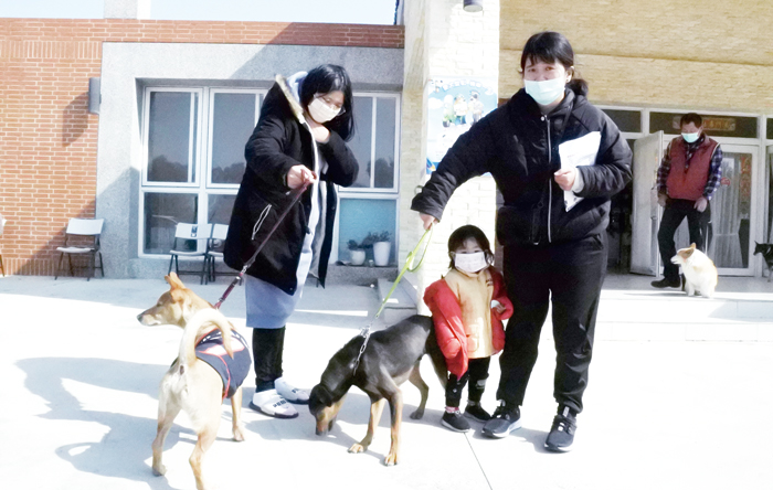 金門縣動植物防疫所110年迎新春活動開跑，連日共完成施打216劑狂犬病疫苗及24隻寵物登記。（陳麗妤攝）