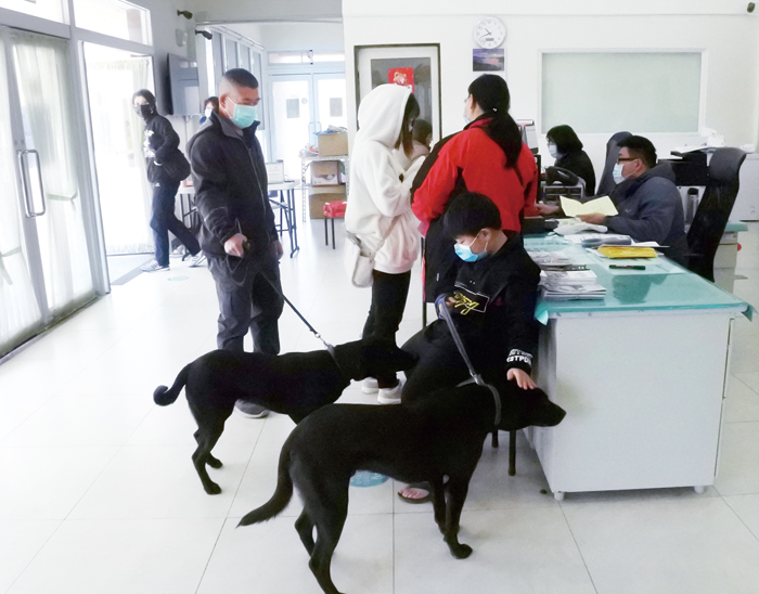 金門縣動植物防疫所110年迎新春活動開跑，連日共完成施打216劑狂犬病疫苗及24隻寵物登記。（陳麗妤攝）