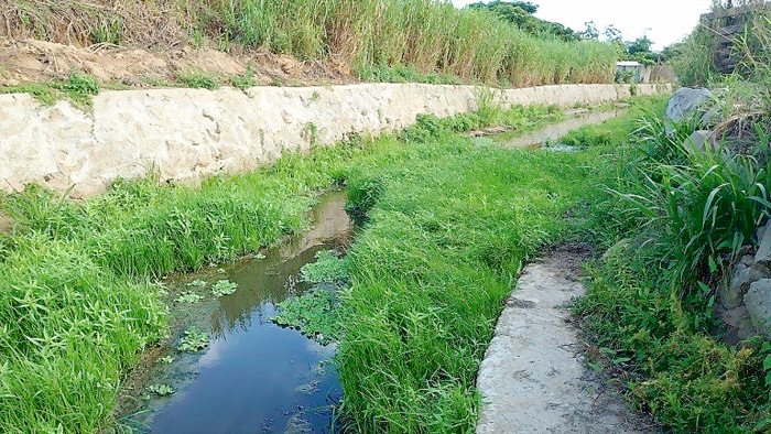 后壟溪下游流域排水改善，自然淨化後間接補注地下水源。（工務處提供）
