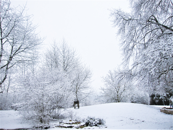 獨特冷冽的白雪皚皚冬之美。