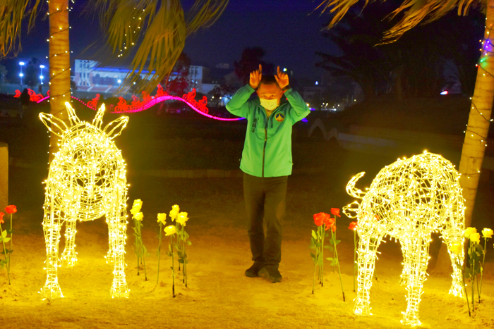 牛年即將到來，有著阿牛外號的楊鎮浯縣長和二隻燈牛合拍，形成「犇」字。（詹宗翰攝）