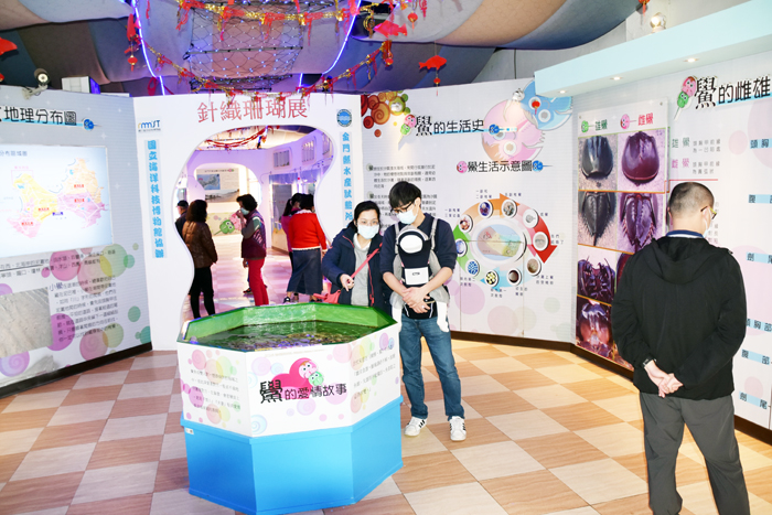 春節初一至初三，水試所以「金牛迎春鴻運照」為主題，用靜態展示及佈置，策劃「荔枝師│海廢藝術特展」、「金魚滿堂新春水族特展」、「針織珊瑚＆鱟生態文化展」，還布置一面網美花牆供民眾拍照打卡，吸引鄉親前往走春踏青。（莊煥寧攝）