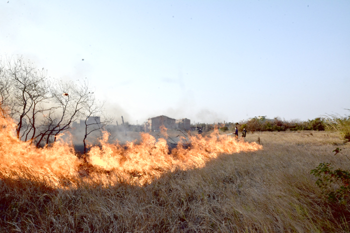 圖為田間燃燒雜草所引起的火警，影響公共安全。（消防局提供）