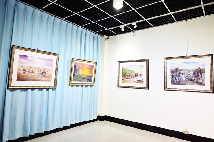 「時光腳落」楊天澤水彩畫展，楊天澤分享他長期以金門故鄉為題材的創作歷程。圖分別為老屋、田園等畫作。
（許加泰攝）