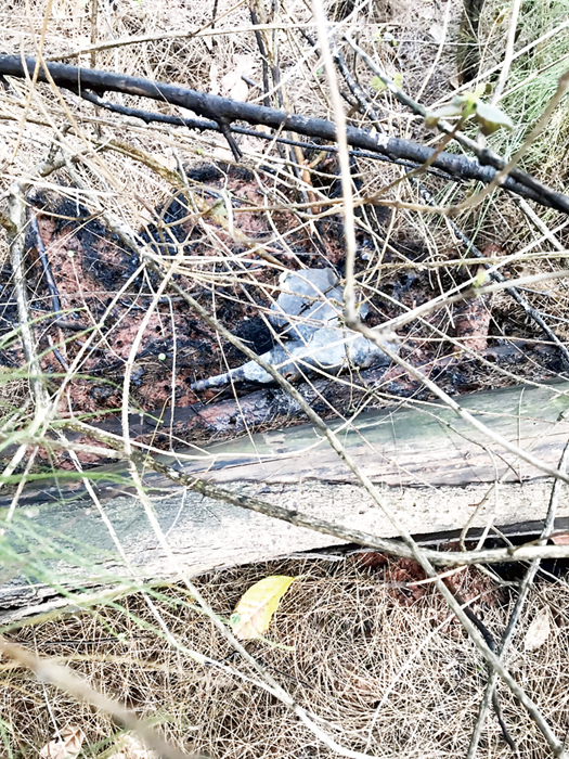 金寧鄉盤果路和桃園路交叉路口昨日午后傳出劇烈爆炸聲，並伴隨小面積火警，消防局聯手軍警趕往處理。（縣消防局提供）