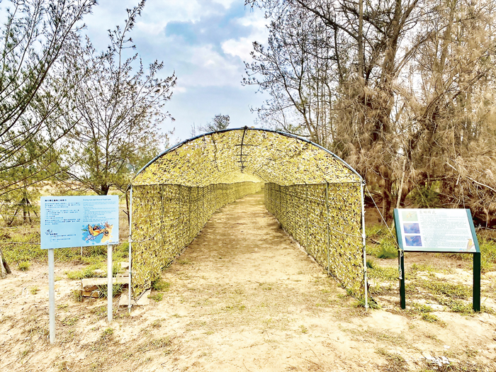 金湖鎮公所及金門國家公園於青年農莊設置迷彩的賞鳥通道及賞鳥平台,營造友善的賞鳥環境。
(金湖鎮公所提供)