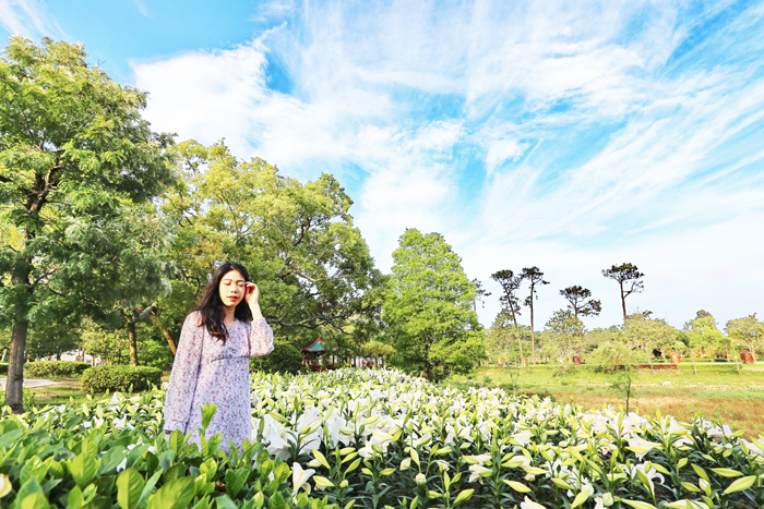 主題式的公園營造,打造微型網紅打卡點。(林務所提供)