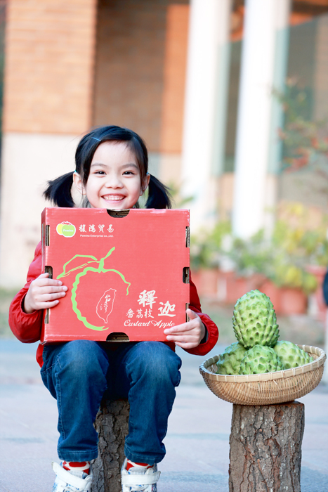 好吃的臺東釋迦又來了！今年有2種不同規格的選擇，送禮自用兩相宜，金門縣農會超市即日起接受訂購。（縣農會提供）