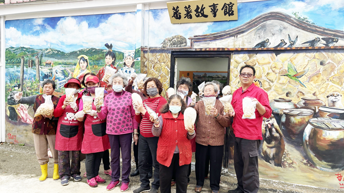 何厝社區七星農場豐收,醃蘿蔔乾將以優惠方式分享。(陳麗妤攝)