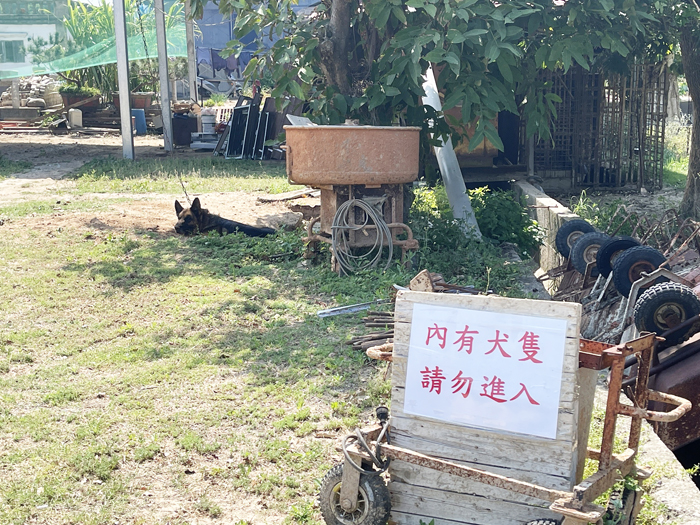 碧山人文薈萃,古蹟歷史建築林立,吸引遊客造訪。日前呂先生偕友人參觀陳德幸洋樓,由側門進入卻不慎被突然衝出的狼犬嚇到並摔倒,以致左大腿遭一旁生鏽的鐵條劃傷。(陳麗妤攝)