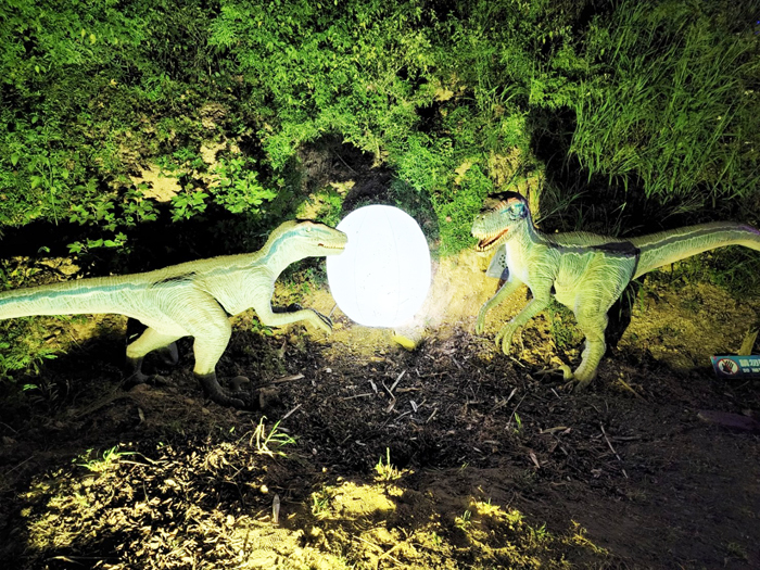金門星光節以恐龍為主題,打造奇幻世界。(許峻魁攝)