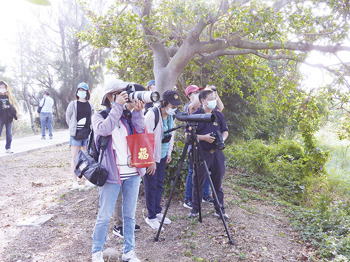 金門縣野鳥學會在烈嶼陵水湖辦理賞鳥活動，吸引民眾共襄盛舉，以單筒望遠鏡觀賞配合圖鑑辨視，以及用相機捕捉黑面琵鷺、鸕鶿、池鷺等多樣鳥類之生活樣態。（金門縣野鳥學會提供）