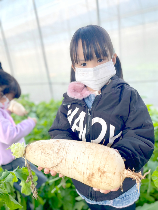 孩子親手拔下大大的白蘿蔔，成就感十足。（金寧中小學提供）