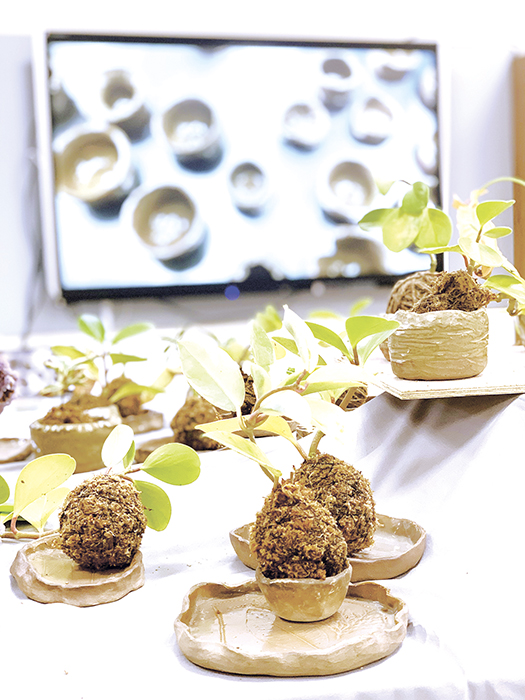 金門農工園藝科結合金門陶瓷廠,舉辦「陶花園記」花卉利用作品展。(林靈攝)