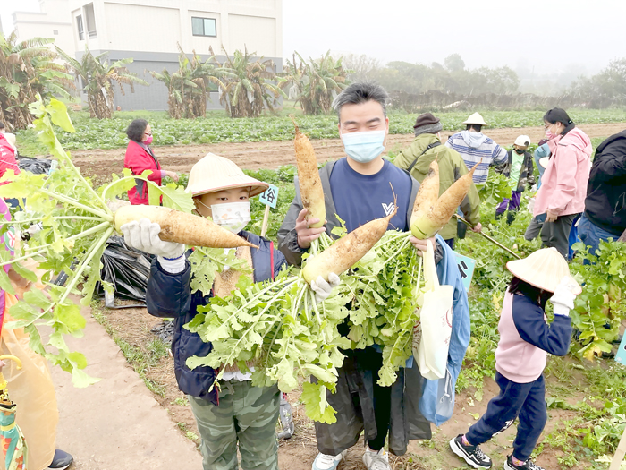 親子拔蘿蔔活動，滿載而歸。（陳冠霖攝）