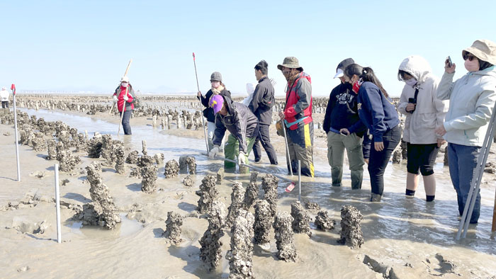 南北山潮間帶生物資源調查及長期監測人力培訓,學員實地踏查及合影。(許峻魁攝)