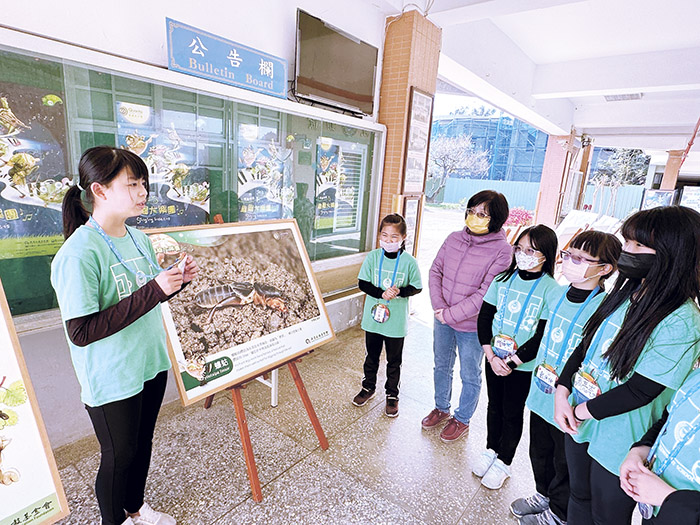 廣達游於藝！整批鳴蟲特展作品在何浦校園中「遊走」。何浦國小師生經過努力，讓走廊化身藝廊。學生經過培訓，從布展到解說導覽一手包辦，並以同學老師為觀眾，校園頓時充滿藝文氣息，學子從中習得多項能力，兩週展覽進入尾聲，學生依依不捨。（何浦國小提供）