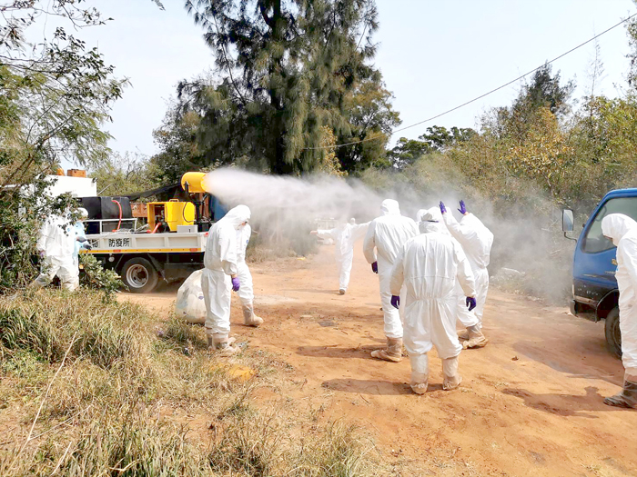 防檢局昨證實地區一養雞場檢出H9N2低病原性禽流感。防疫所人員立即配合採取高規格處置,就該場4,551隻土雞執行預防性撲殺並就地焚燒掩埋;周邊半徑1公里之禽場經檢查未有異常情形,除督導該場完成場區清潔及消毒工作;所有人員、裝備、車輛也完成消毒。(金門縣動植物防疫所提供)