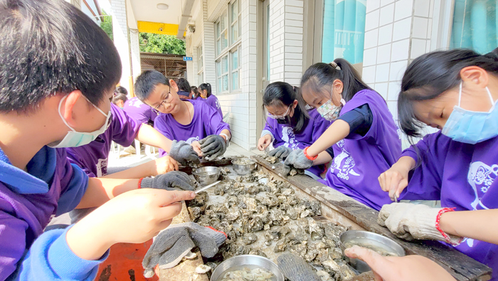 學童體驗剝蚵。（古寧國小提供）