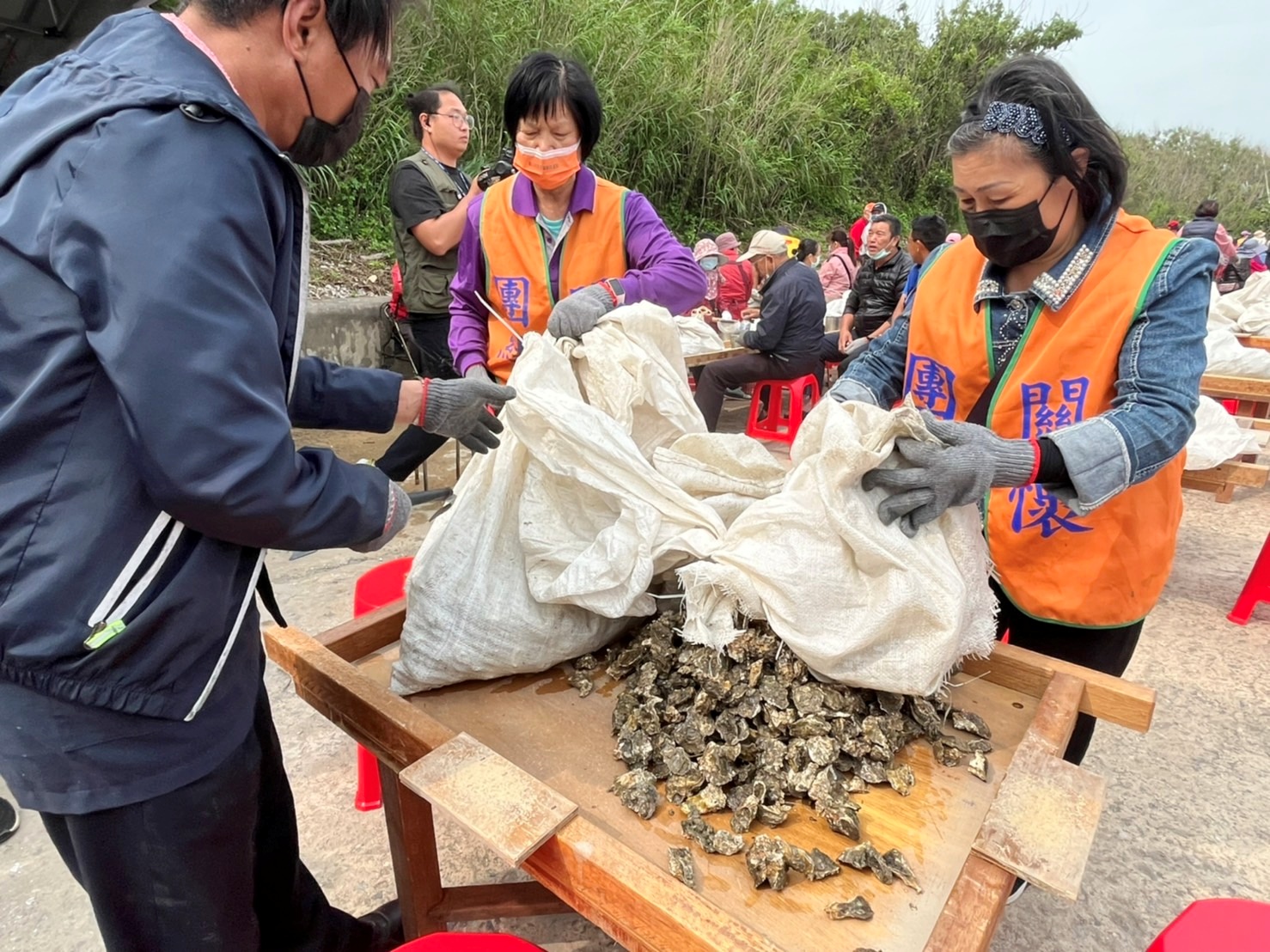 金寧鄉公所表示,今年準備將近6,000公斤的新鮮帶殼石蚵,供民眾們體驗。(高凡淳攝)