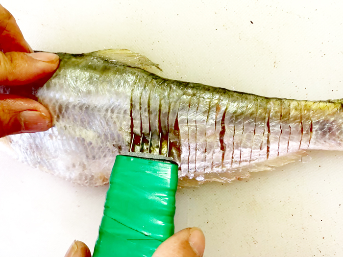 金門農工養殖科研發能夠方便切斷細魚刺的「斷刺刀」，參加全國高級中等學校專業群科專題實作，獲得全國水產群創意組第一名。（養殖科提供）