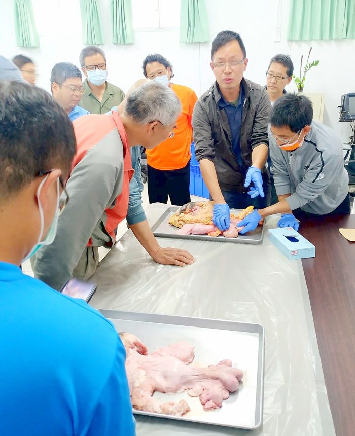 畜試所與恆春分所，分別辦理「肉牛」與「羊隻」繁殖技術暨飼養管理訓練班，吸引60餘位學員參與，除了飼養管理，更重要的是進行模擬肉牛人工授精和肉牛直腸觸診實務，以及指導學員親身操作羊隻人工授精，學員們收穫滿滿。
（金門縣畜產試驗所提供）