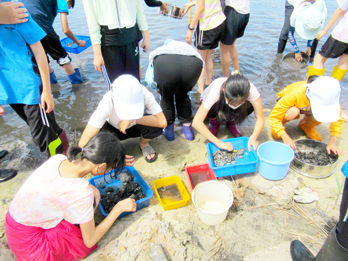 古寧國小學生觀察慈湖濕地水生生物。(金管處提供)