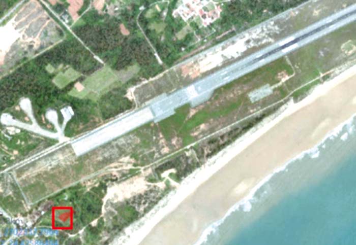 機場附近群鳥舞空，易危及飛安。（蔡其雍提供）