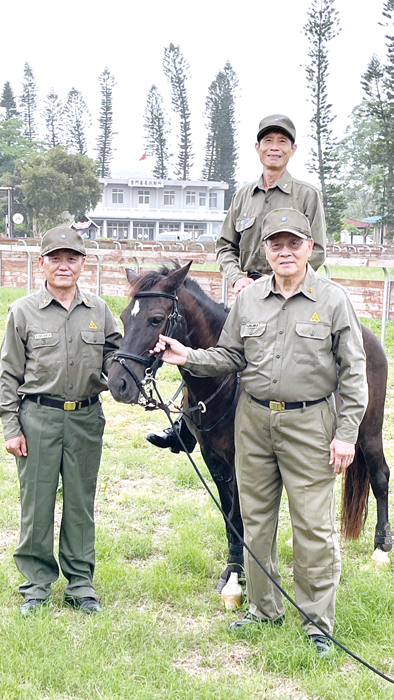 曾在金門服役的王建華、陳金福、郭中庸，穿草綠服返回牧馬場與馬匹合影。（陳麗妤攝）