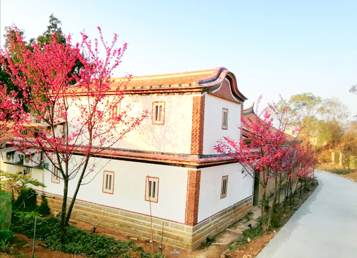春季櫻花盛開，為一朵民宿增添一抹亮色。（一朵民宿提供）