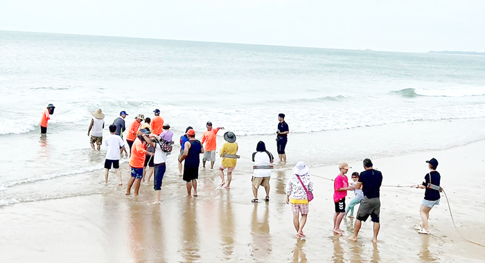 海灘體驗傳統「牽罟」。（陳麗妤攝）