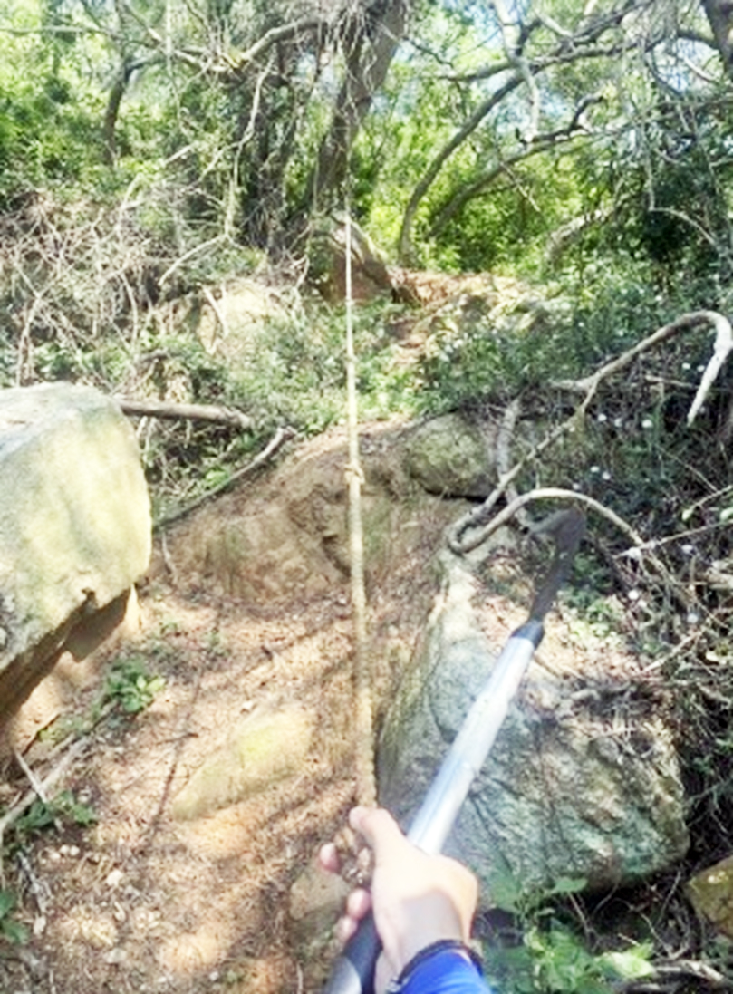 金管處將移除太武山上民眾私設之攀繩。（金管處提供）