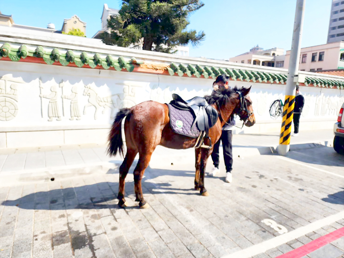 馬匹暫停停車格，民眾直呼有趣。（許峻魁攝）