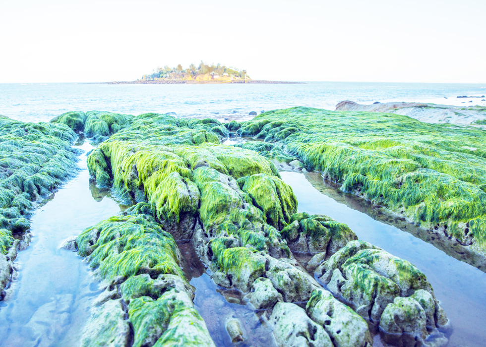 烈嶼鄉公所「2024綠色岐蹟．烈嶼綠石槽」系列活動開跑，烈嶼限定綠石槽海岸景觀。（烈嶼鄉公所提供）