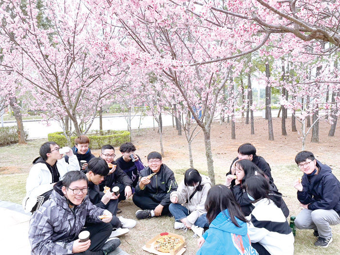 金大工管系師生舉行全系櫻花野餐活動。（金大提供）
