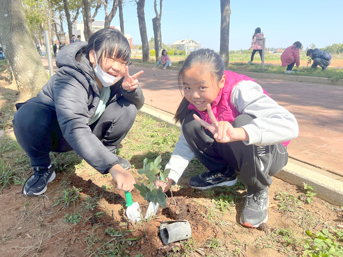 慶祝植樹節，述美國小昨日辦理「楓香大道植樹」活動，希望能永保楓香大道綠蔭以及秋天楓紅之美麗景象。（述美國小提供）