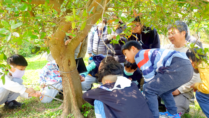 金門植物園3月份《金森．金事》講座，邀請張永仁到場分享及探索昆蟲世界。（林務所提供）