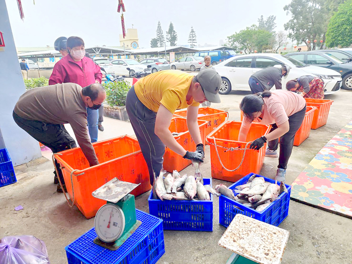 水試所更換養殖魚種，打撈鱸魚進行販售。（許峻魁攝）