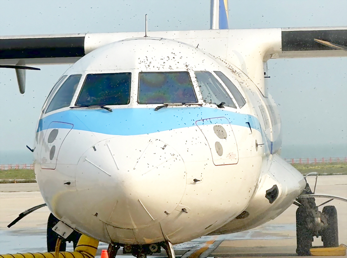 華信航空編號AE1272預計由金門飛往台北班機，在進行登機作業時發現有大量野蜂群聚於駕駛艙周圍，造成2名旅客不慎被螫傷。（民眾提供）